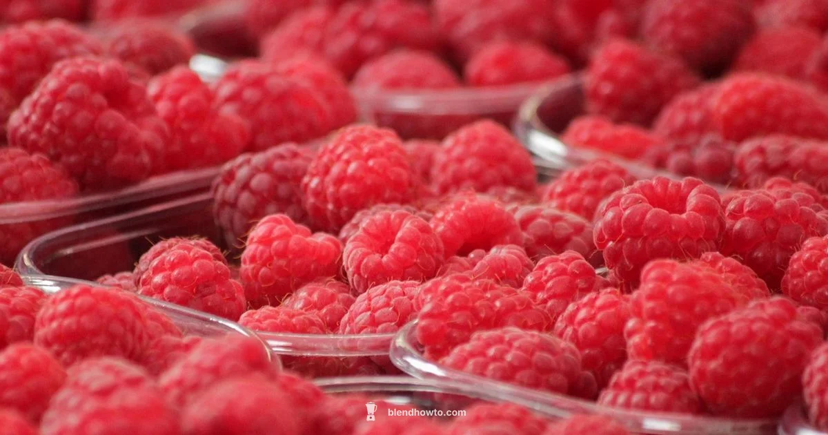 BL660 In-Depth Review BL660 In-Depth Review - BlendHowTo