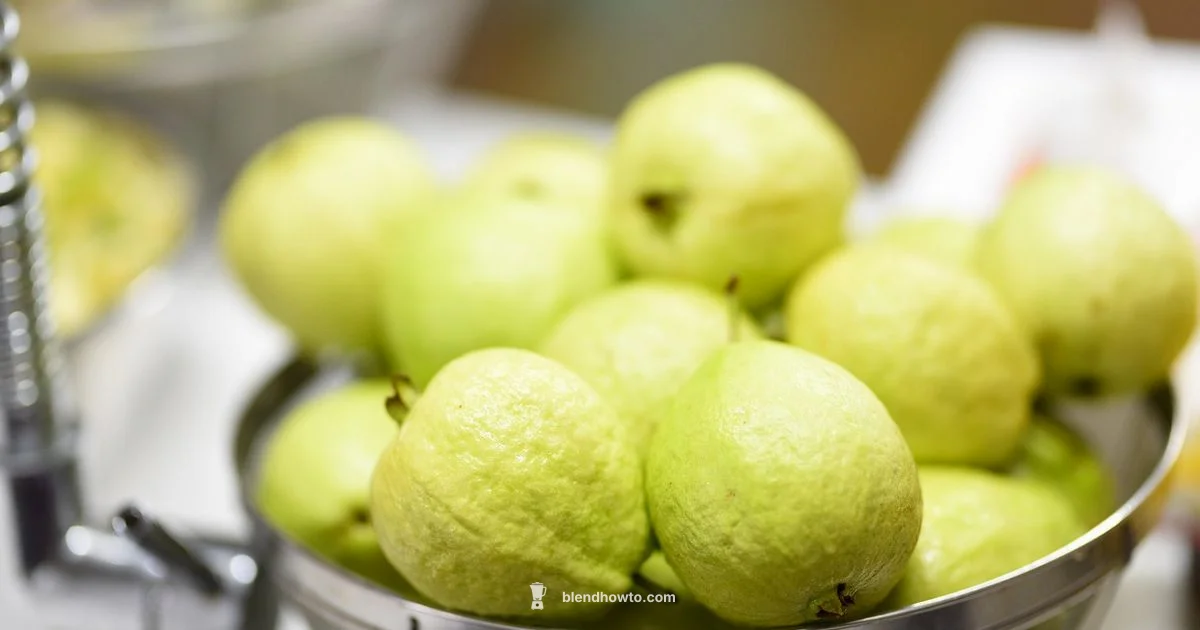 Ninja 1500W Guide - BlendHowTo