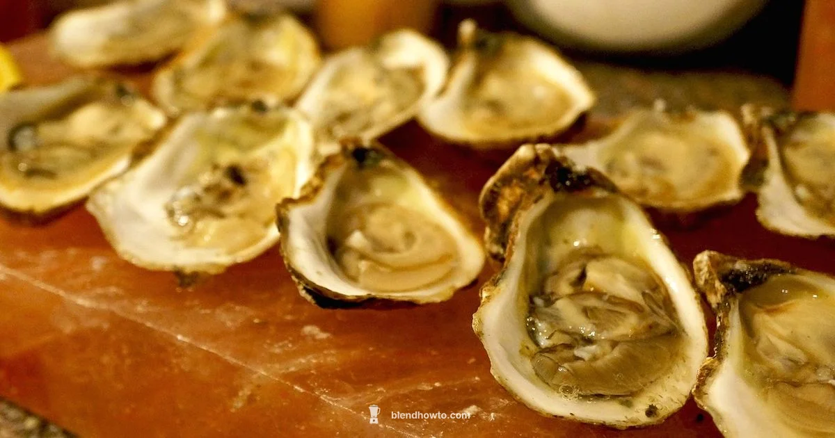 Oyster 16-Speed Blender Oyster 16-Speed Blender - BlendHowTo