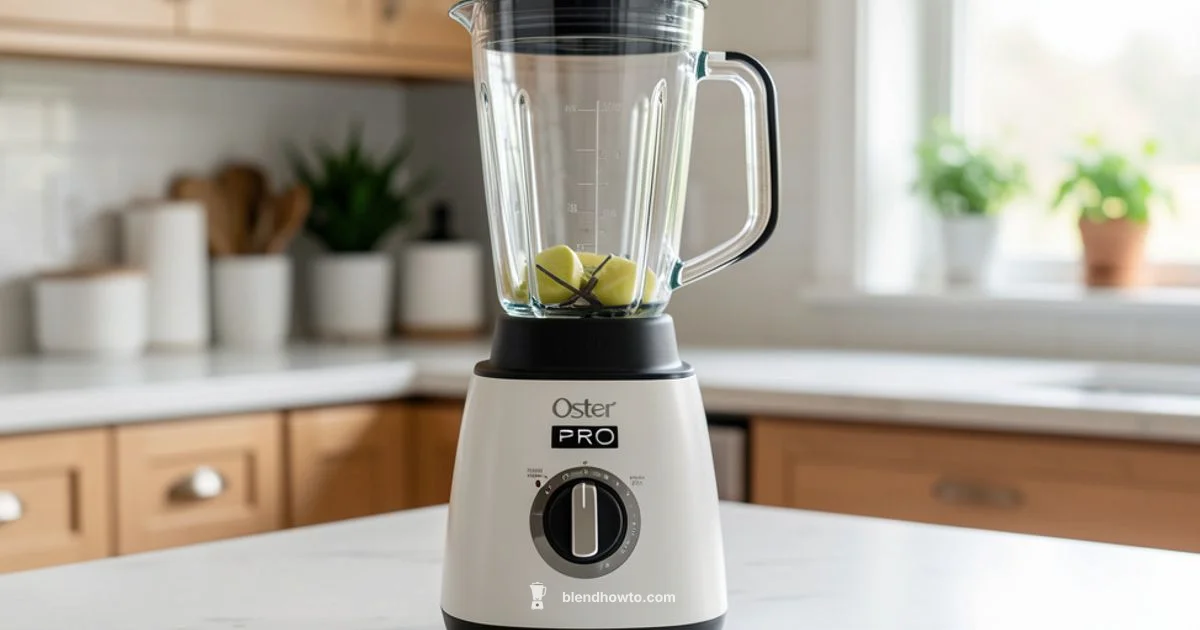 Oster Pro 1200 Review - BlendHowTo