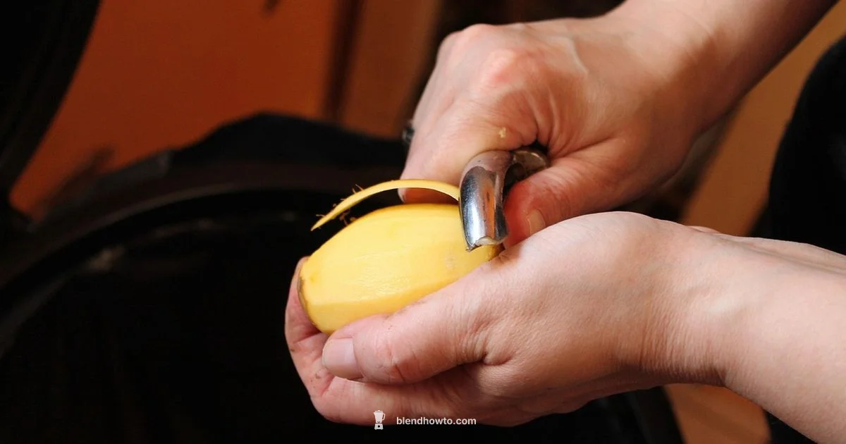 Hand Blender Guide - BlendHowTo