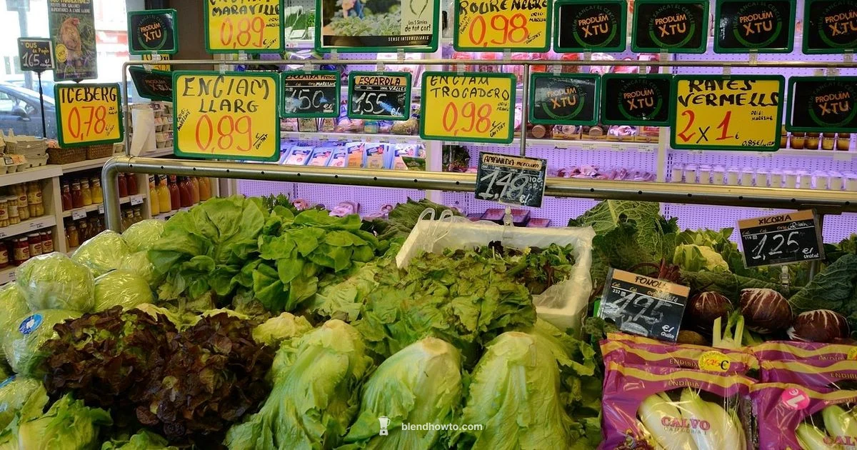 Blender Pricing - BlendHowTo