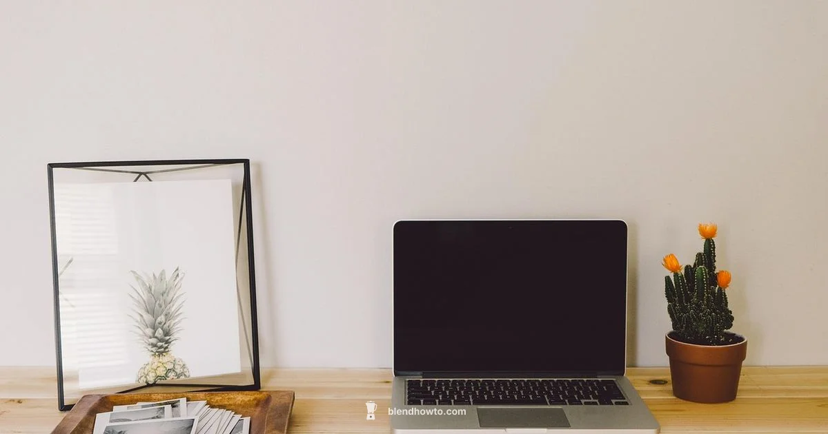 Blender Learning Guide Blender Learning Guide - BlendHowTo