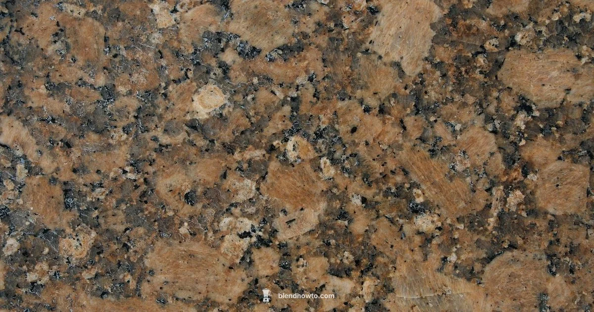 Top Blender Picks - BlendHowTo