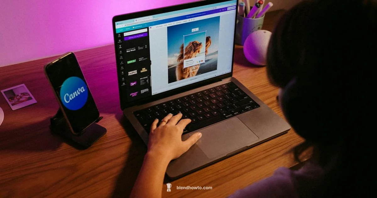 Blender Control Basics - BlendHowTo