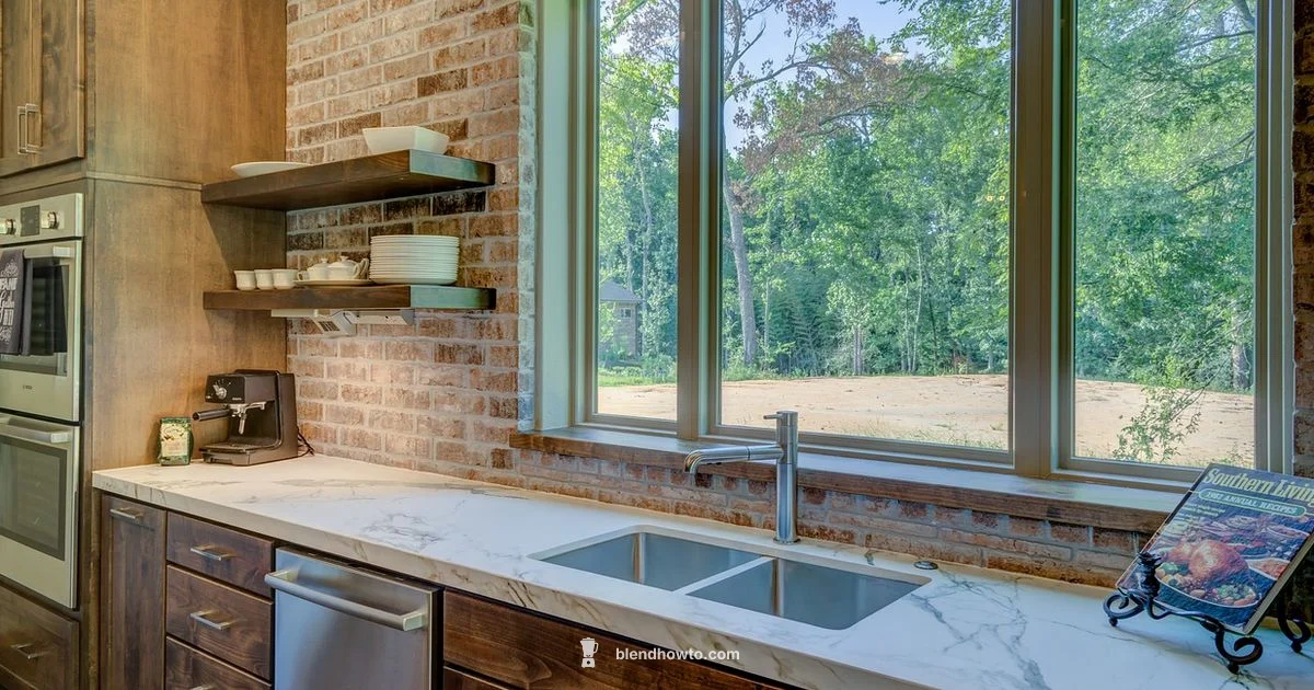 Premium Blender Showdown - BlendHowTo