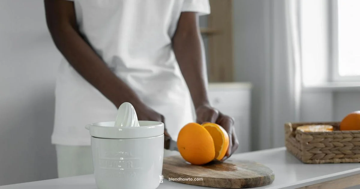 Juicer Blender Guide - BlendHowTo