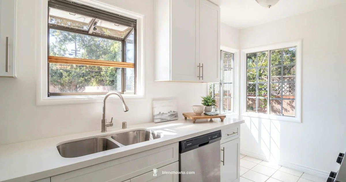 Healthy Blender Recipe - BlendHowTo