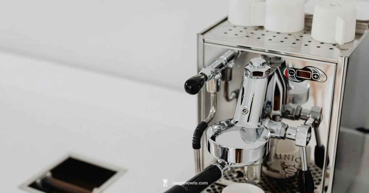 Oster Cup Blender Guide - BlendHowTo