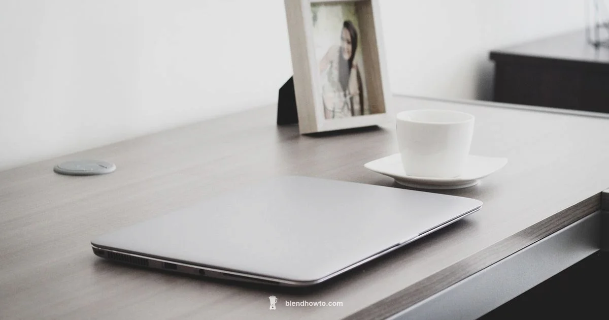 Reddit Blender Guide - BlendHowTo