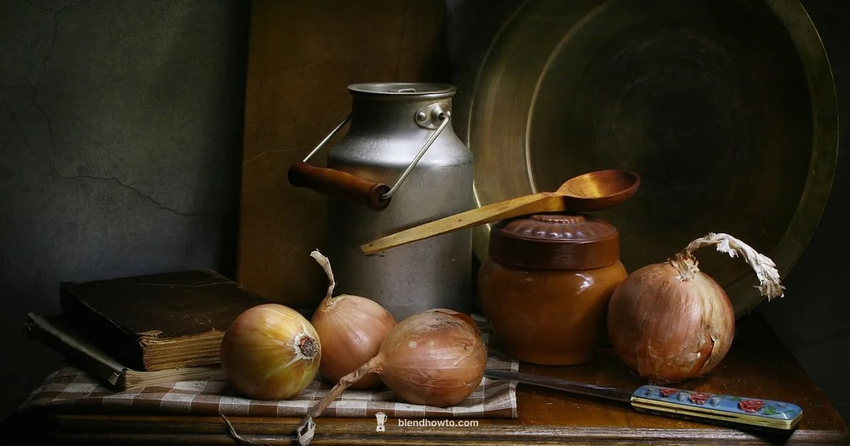 Smart Used Blender - BlendHowTo