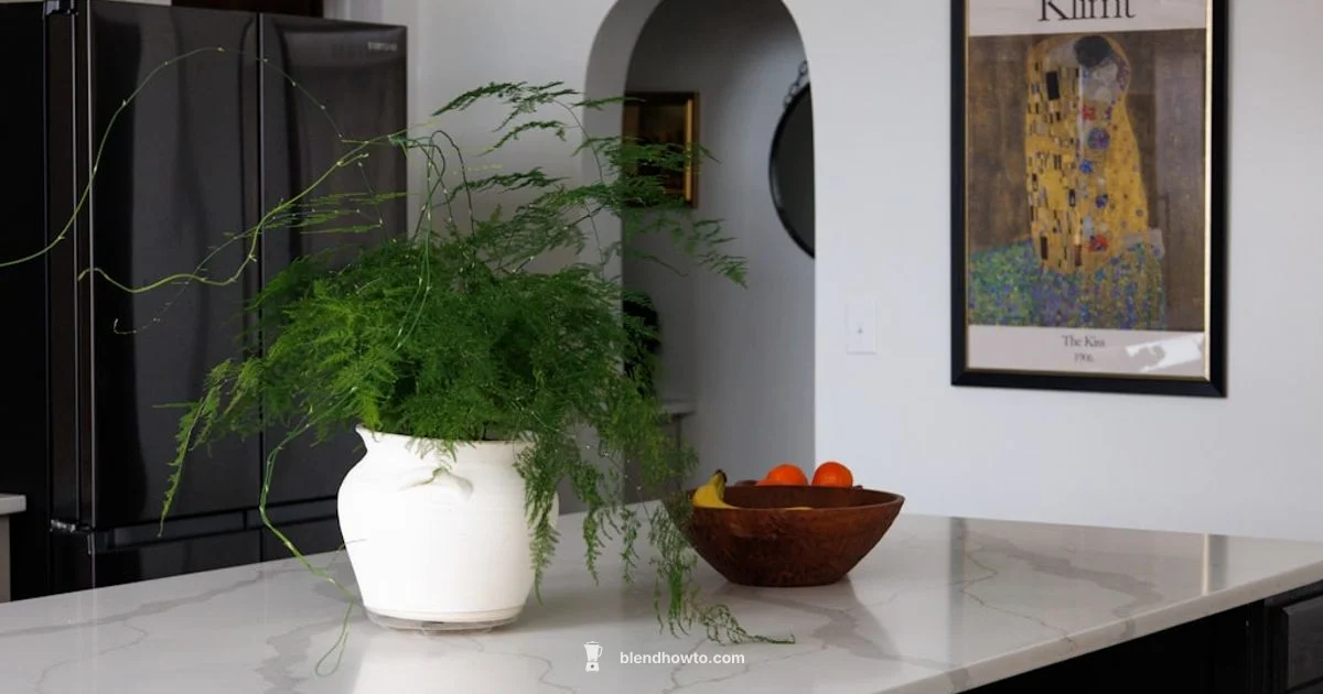 Blender Buying Guide Blender Buying Guide - BlendHowTo