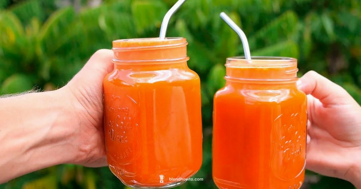 Blender Smoothies Guide - BlendHowTo