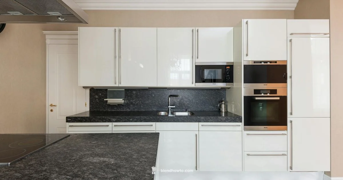 Juicer Blender Combo - BlendHowTo