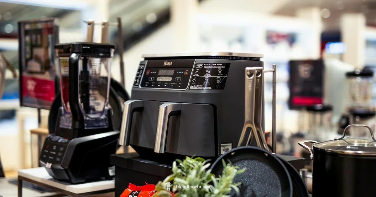 Best Blender Guide - BlendHowTo