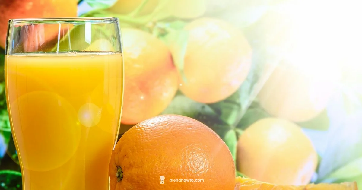 Fresh Orange Juice Fresh Orange Juice - BlendHowTo