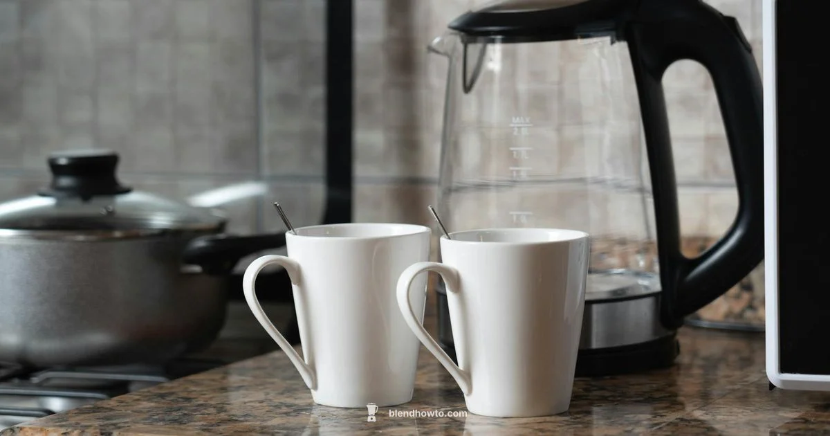 NutriBullet vs Magic Bullet NutriBullet vs Magic Bullet - BlendHowTo