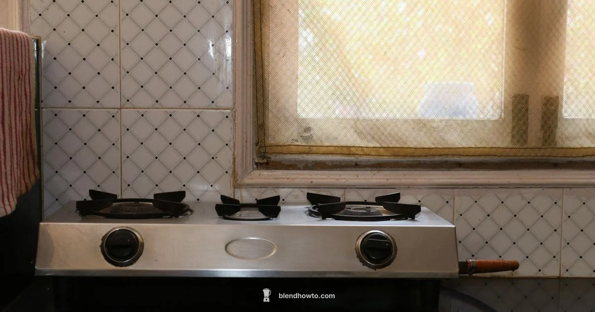 Vitamix Blender Compare - BlendHowTo