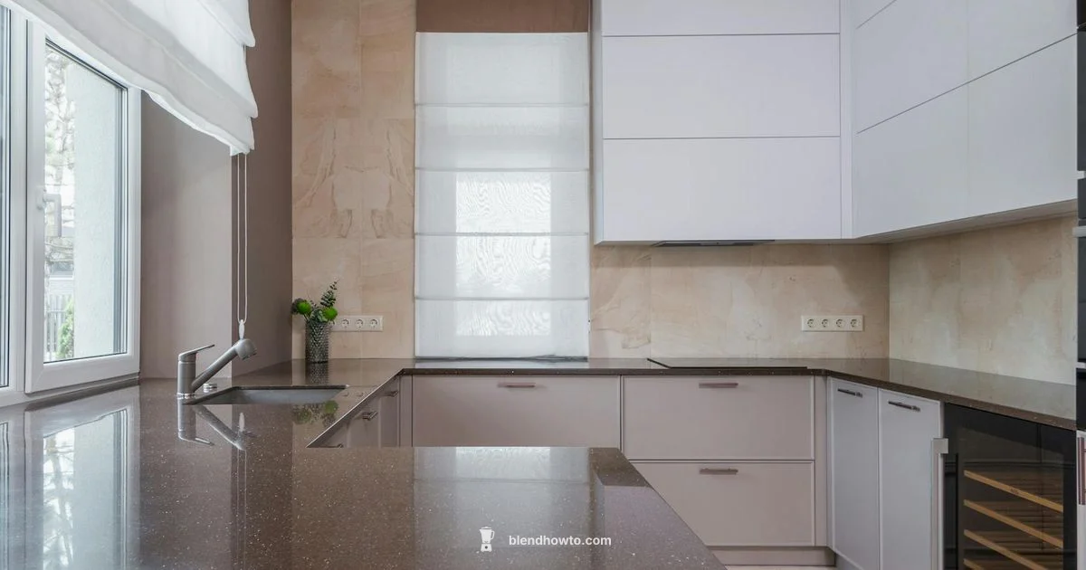 Oster vs Hamilton Beach - BlendHowTo