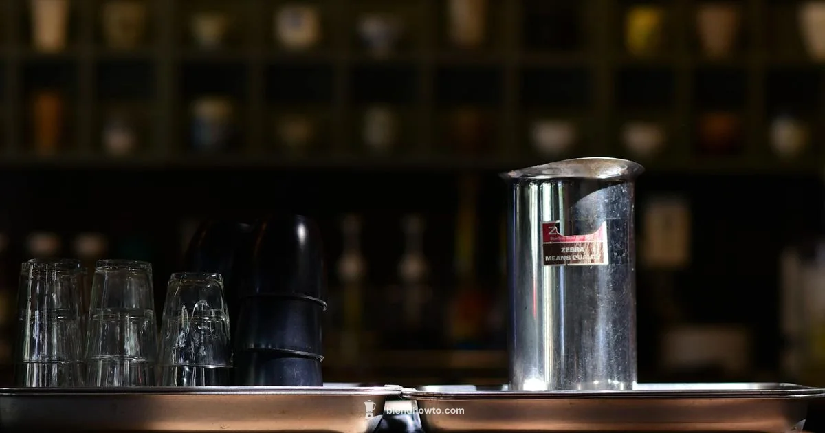 Replacement Pitcher Guide - BlendHowTo