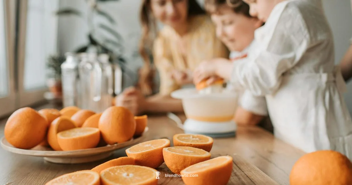 Blender Bites Guide - BlendHowTo