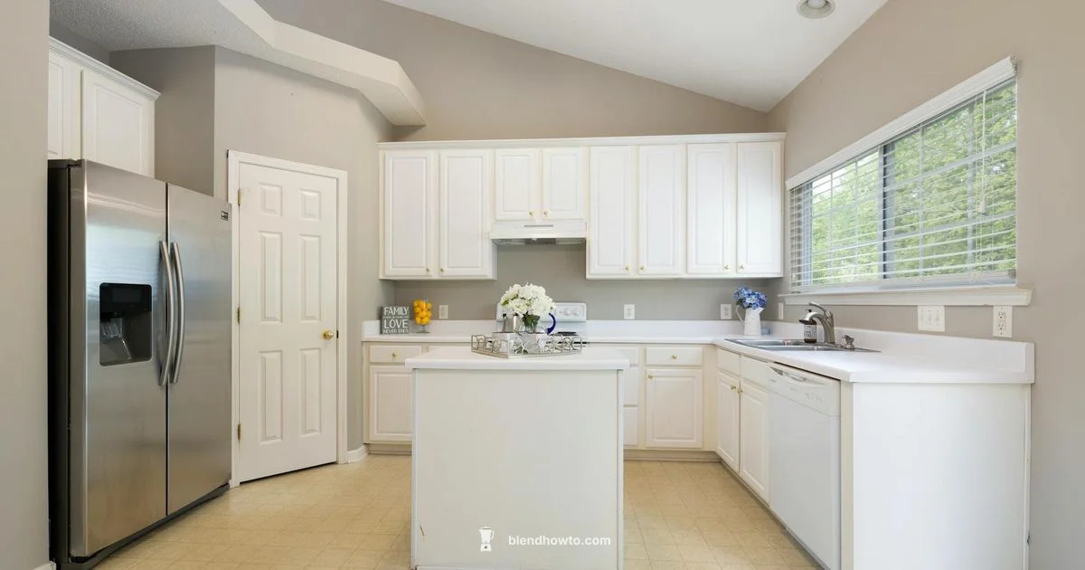 Hamilton Beach Blender Guide - BlendHowTo