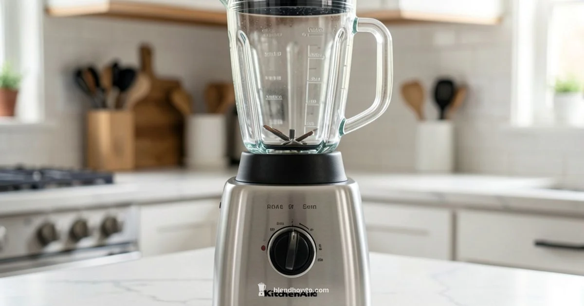 Replacement Jar Guide - BlendHowTo