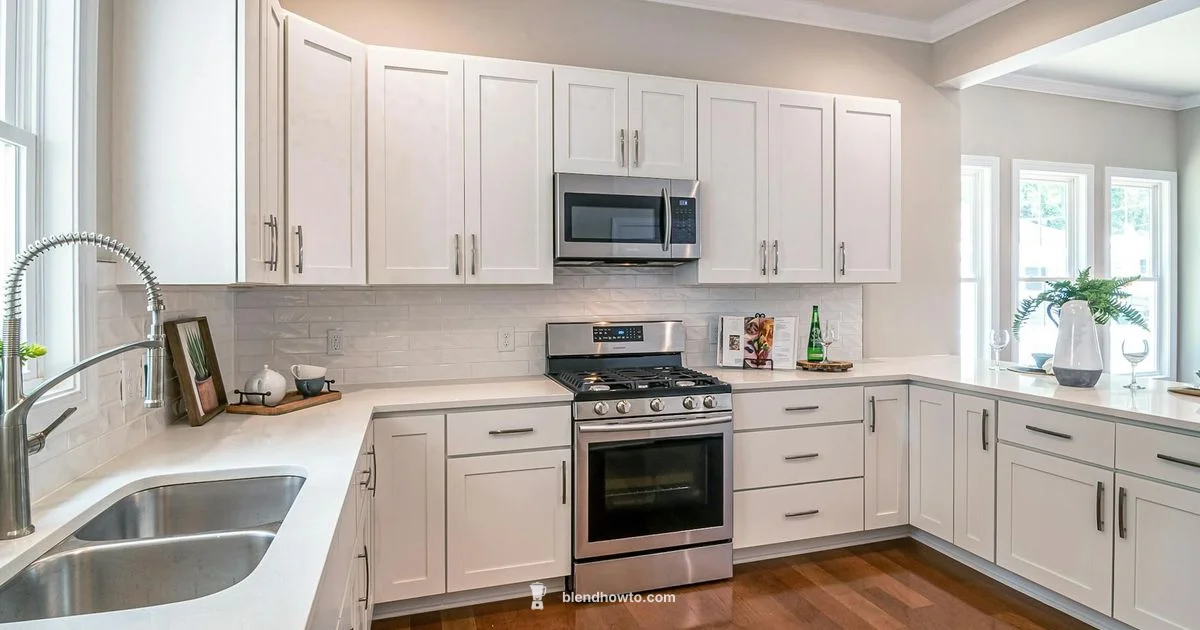 Luvele vs Vitamix - BlendHowTo