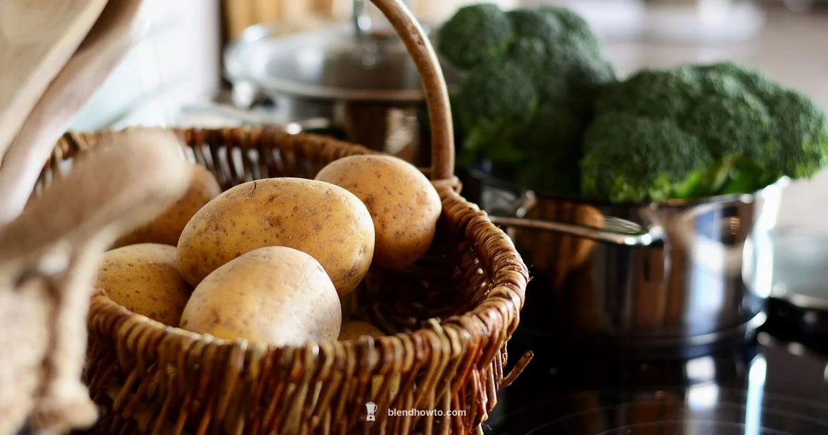 Immersion vs Countertop - BlendHowTo