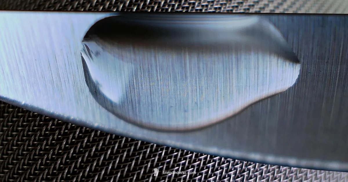 Buchymix Blender Review - BlendHowTo