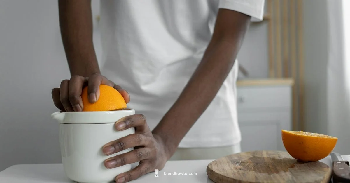 Juicer vs Blender - BlendHowTo