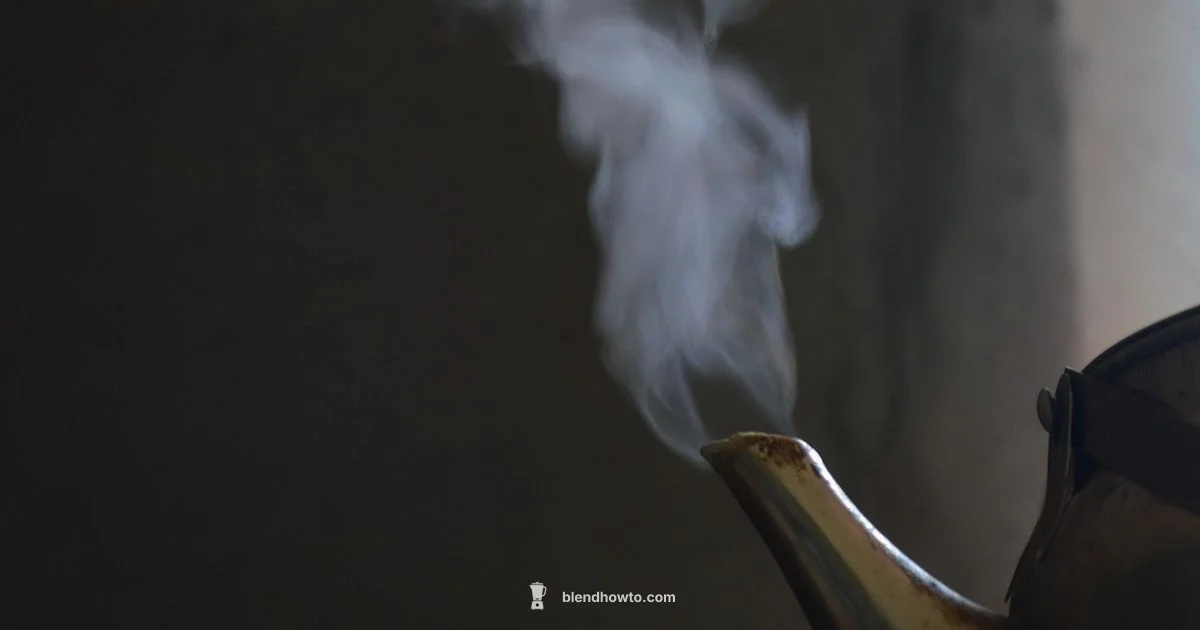 Blender Safety Guide - BlendHowTo