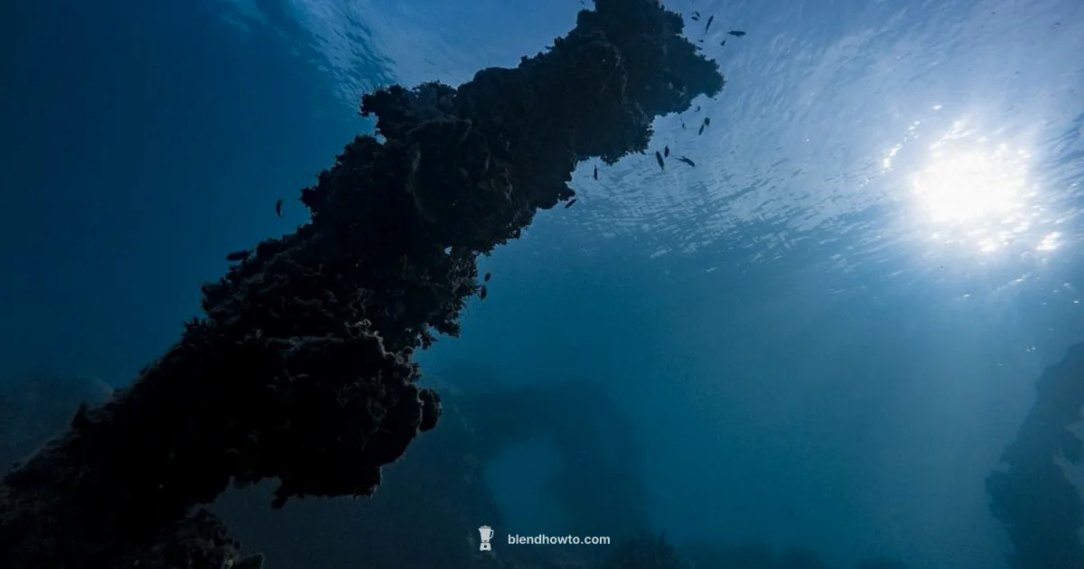 Blender Showdown - BlendHowTo