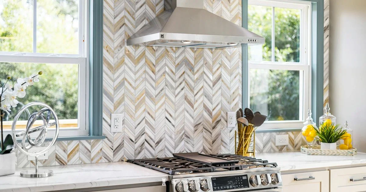 Duo IQ Blender Review - BlendHowTo