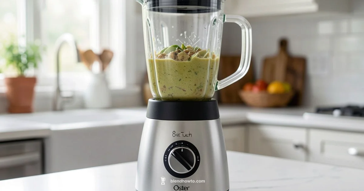 Oster One Touch Blender Oster One Touch Blender - BlendHowTo
