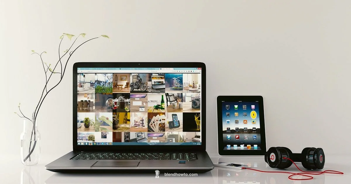 Blender Free Animation - BlendHowTo