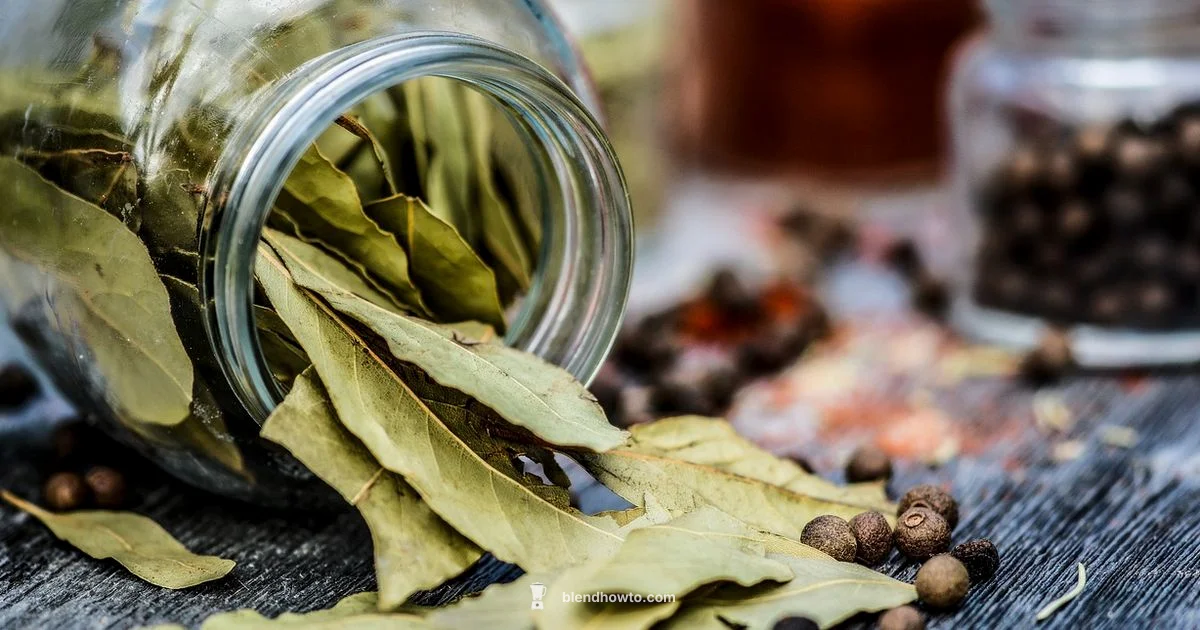 Blender Showdown - BlendHowTo