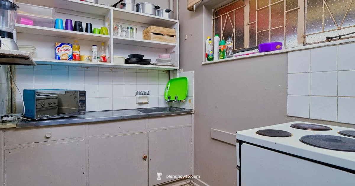 What Is a Good Blender - BlendHowTo