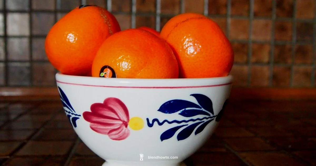 Blender Through Time - BlendHowTo