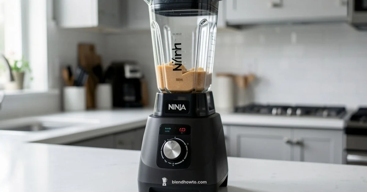 Ninja Blender Troubleshooting - BlendHowTo