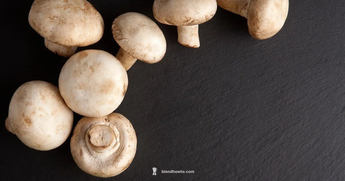 Hamilton Beach Blender Review - BlendHowTo