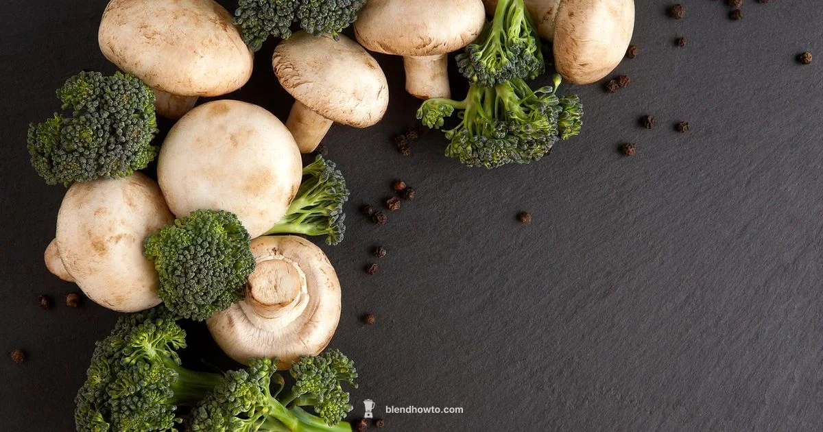 Venturist Pro Review - BlendHowTo