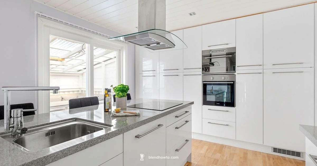 Blender Warranty - BlendHowTo