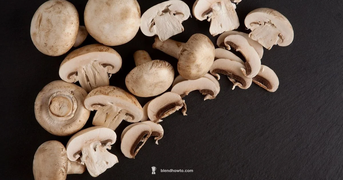 Optimum vs Vitamix - BlendHowTo