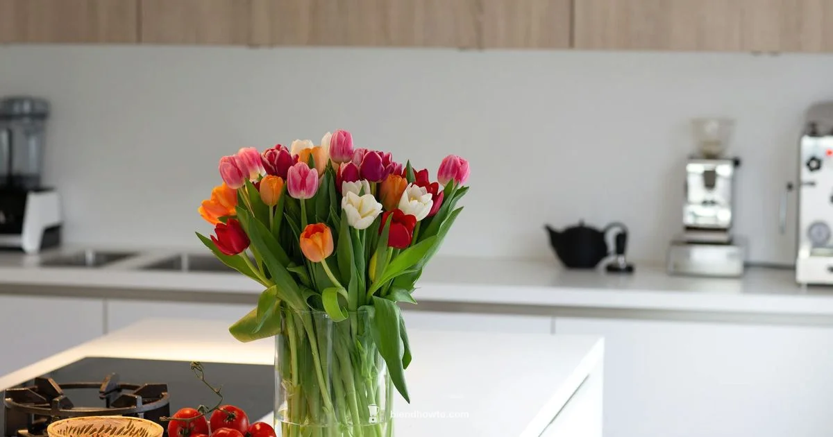 Variable Speed Blender Variable Speed Blender - BlendHowTo