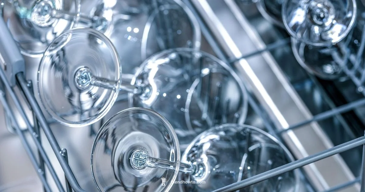 Cup Showdown - BlendHowTo