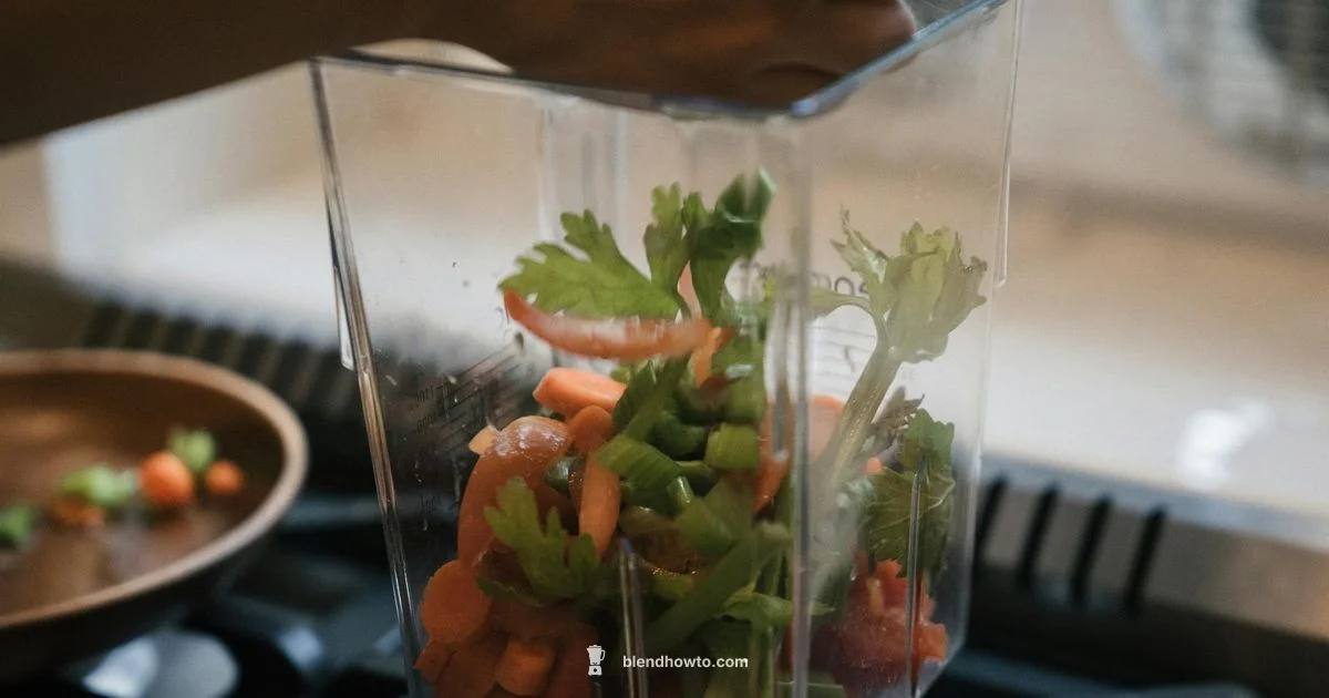 Immersion Blender Guide - BlendHowTo