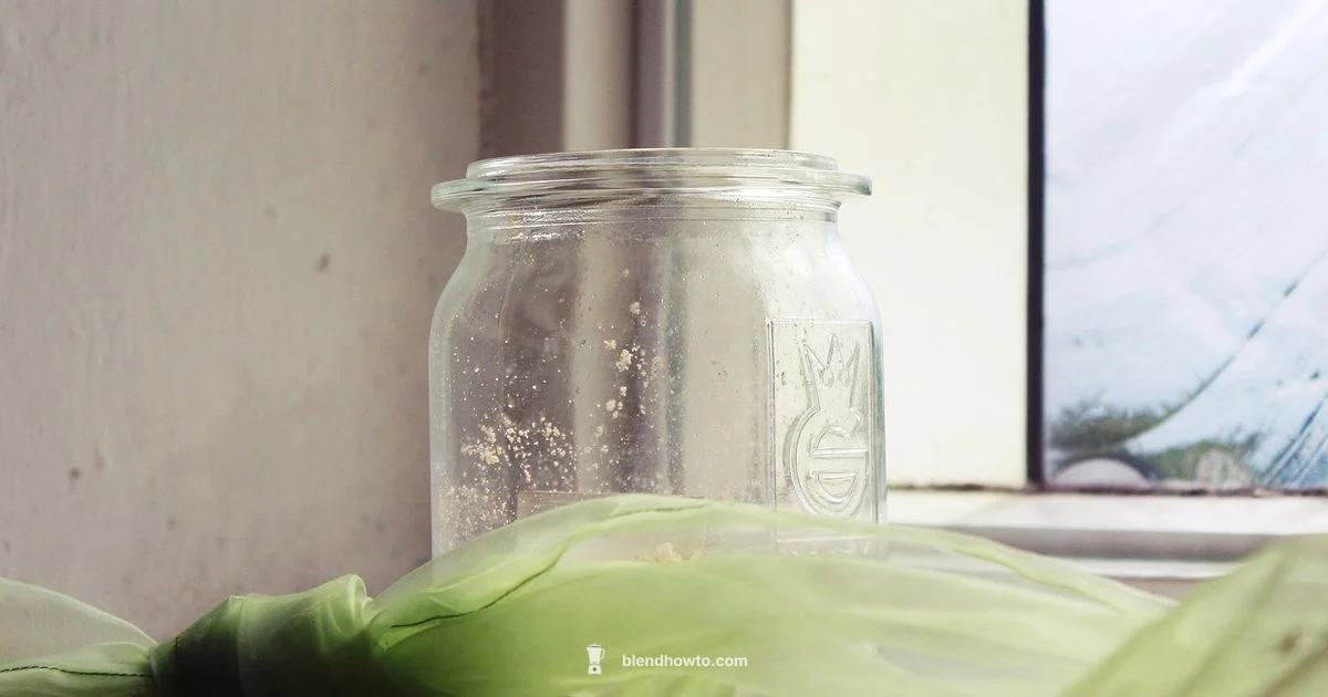 Glass Jar Blenders - BlendHowTo