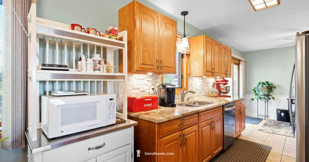 h e b Blender Basics - BlendHowTo