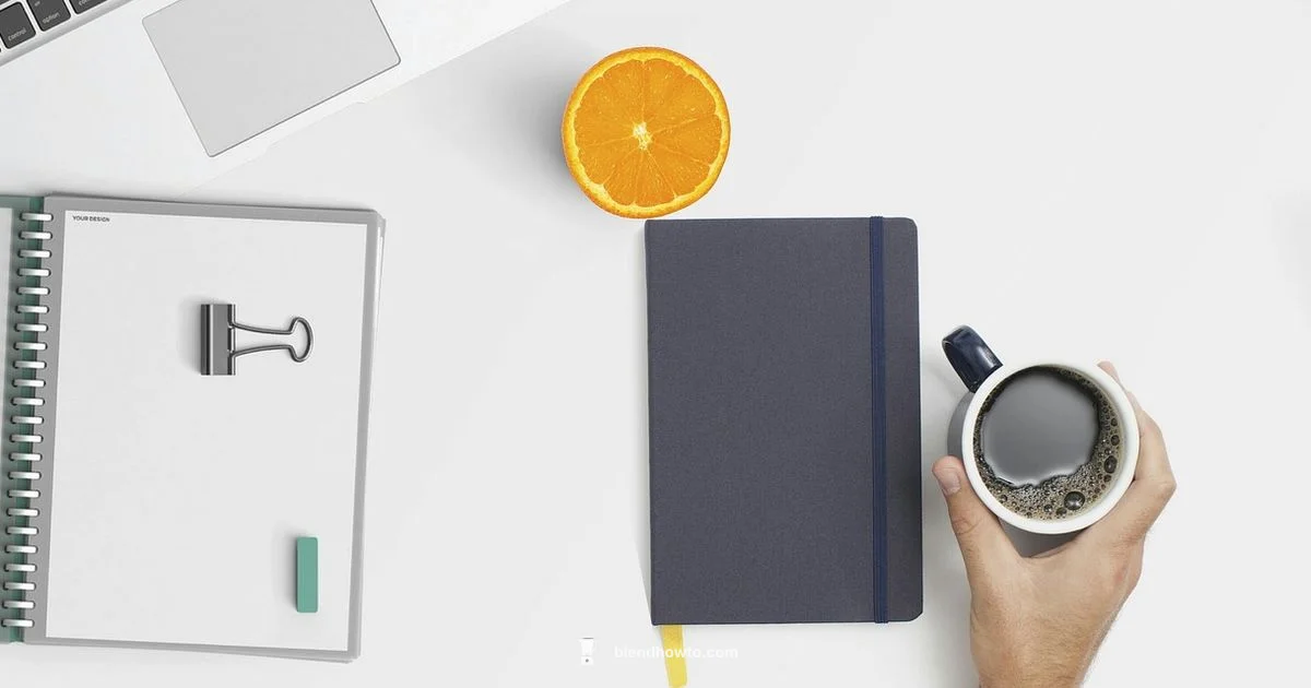 Blender Files Guide - BlendHowTo